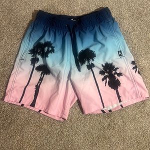 Hollister Swim Shorts